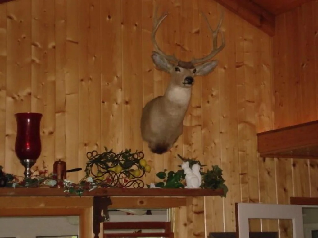 4 bedroom vacation homes Glenville